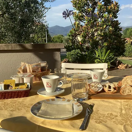 Villa Orsini - A Retreat In Pisa - Food And Relax-2